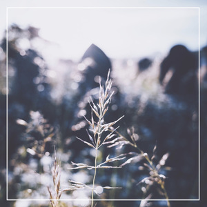 老公边干边说小骚B视频
