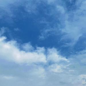 老公边干边说小骚B视频
