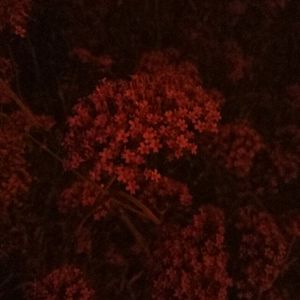 老公边干边说小骚B视频
