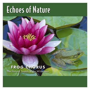 老公边干边说小骚B视频
